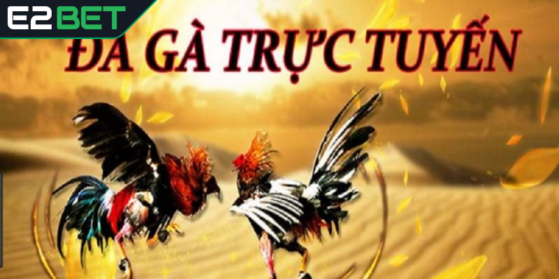 App đá gà trực tuyến là gì