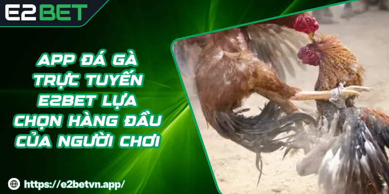 App Đá Gà Trực Tuyến E2BET Lựa Chọn Hàng Đầu Của Người Chơi