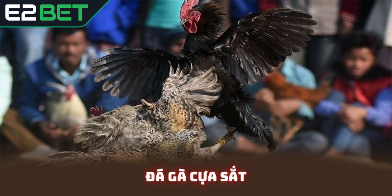 Bí quyết chiến thắng