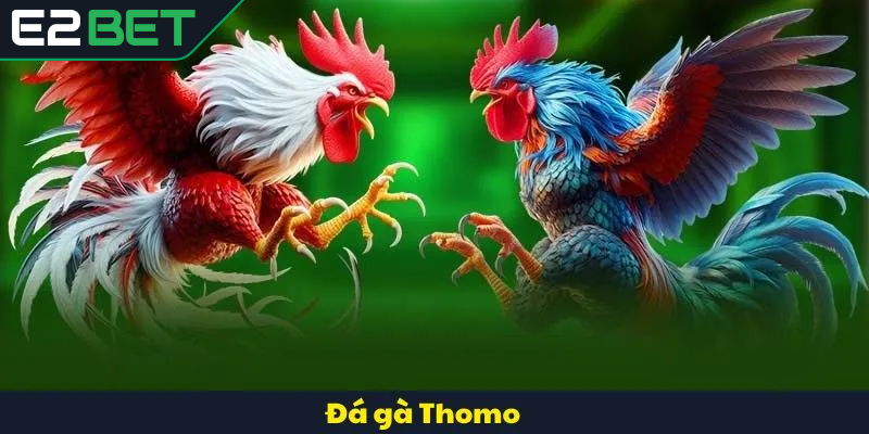Bí quyết thắng lớn