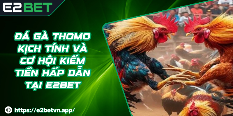 Đá Gà Thomo Kịch Tính Và Cơ Hội Kiếm Tiền Hấp Dẫn Tại E2BET