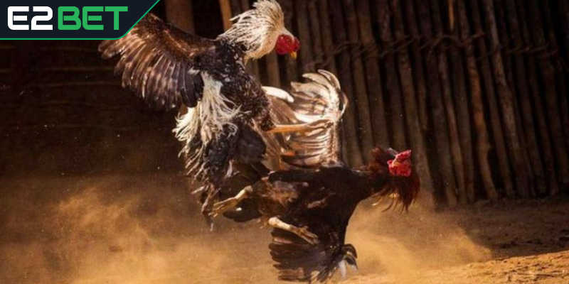 Kinh nghiệm cá cược hiệu quả