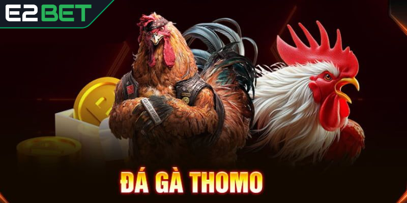 Luật chơi và hình thức đá gà