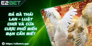 Đá Gà Thái Lan - Luật Chơi Và Cửa Cược Phổ Biến Bạn Cần Biết