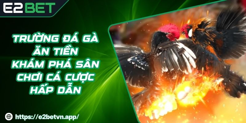 Trường Đá Gà Ăn Tiền - Khám Phá Sân Chơi Cá Cược Hấp Dẫn